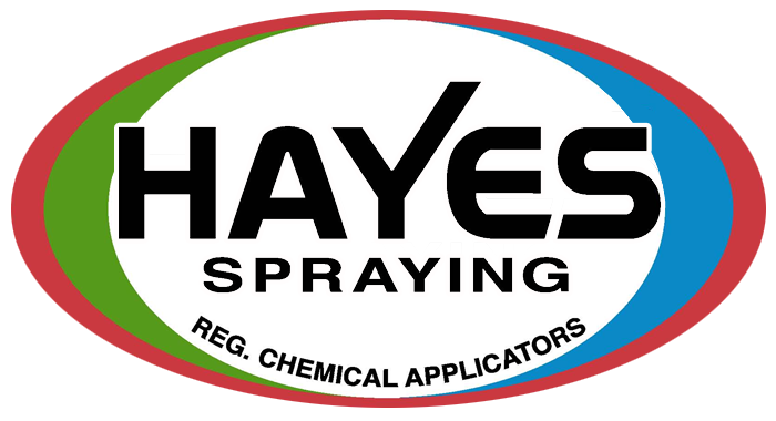 Hayes Spraying